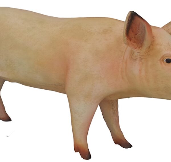 Lebensgroße Schwein -  Kunstbemalung  -  160 cm