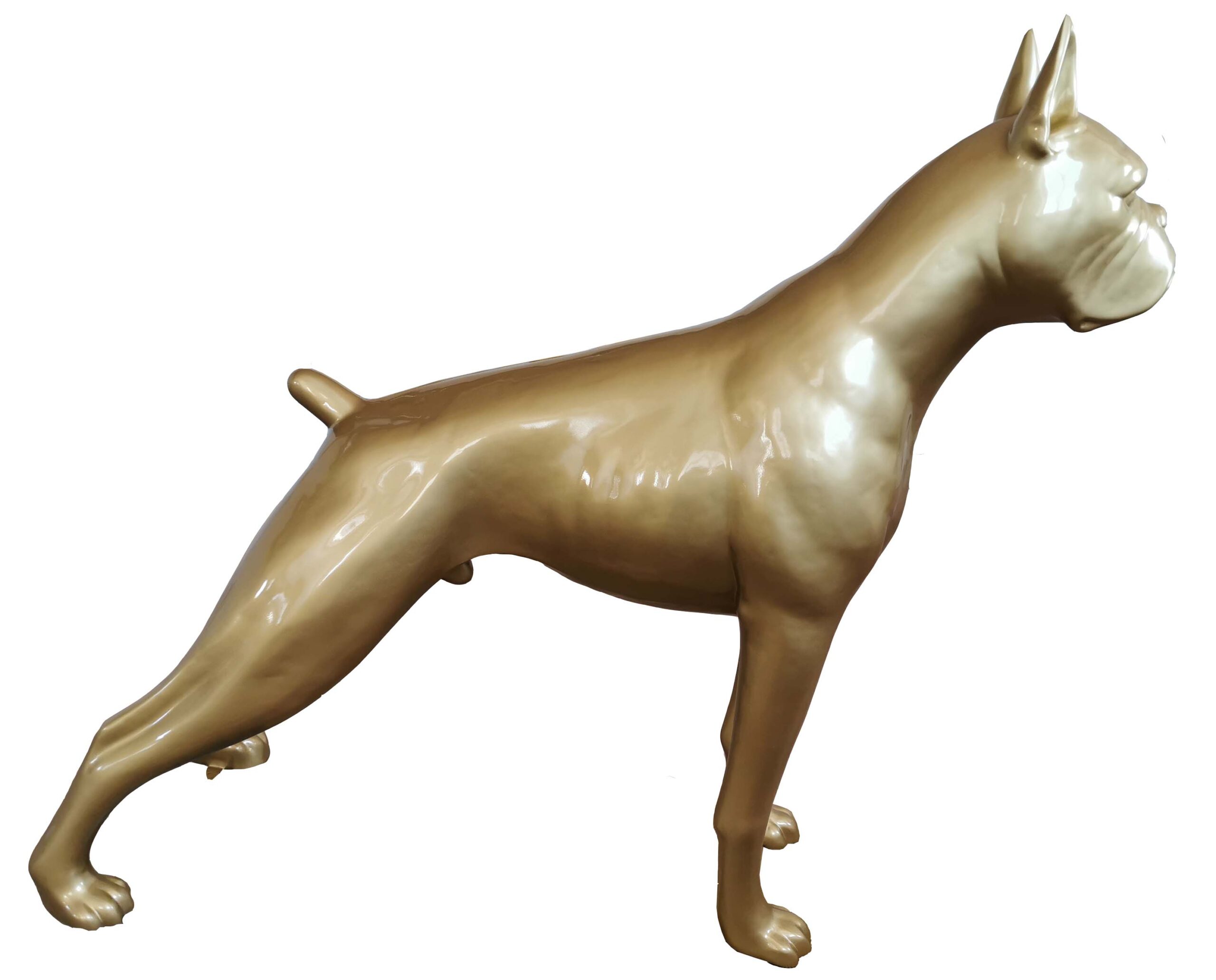 Boxer Hund - Pop Art - Designer Hochglanz XXXL 190 cm