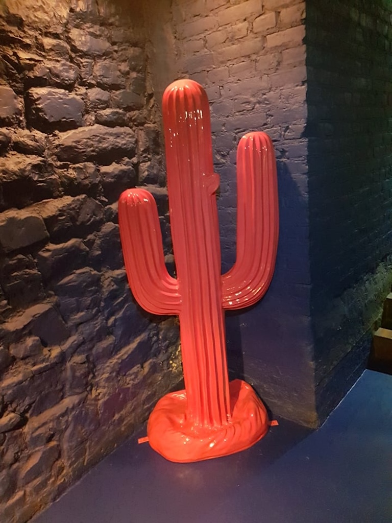 Kaktus Prärie - Pop Art - Designer Hochglanz - 188 cm