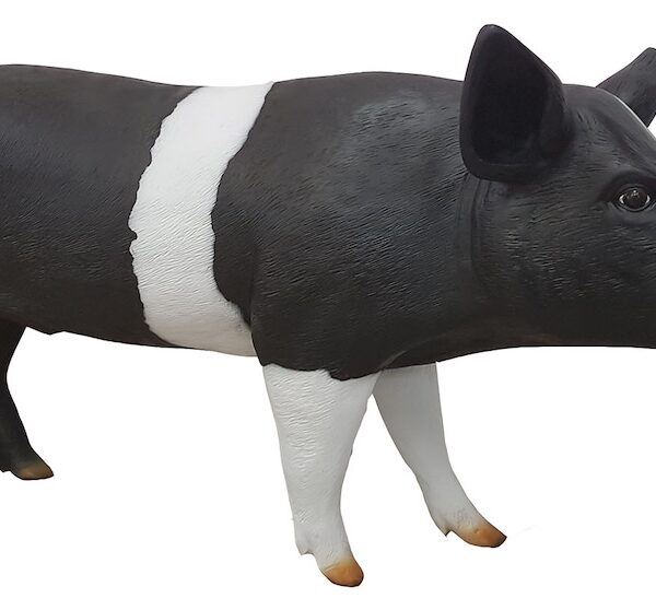 Lebensgroße Schwein -  Kunstbemalung  -  160 cm (Kopia)