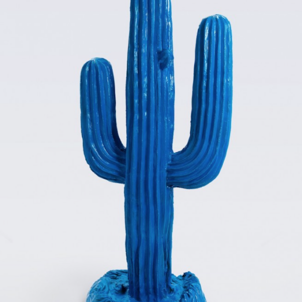 Kaktus Prärie -  Pop Art - Designer Hochglanz - 188 cm