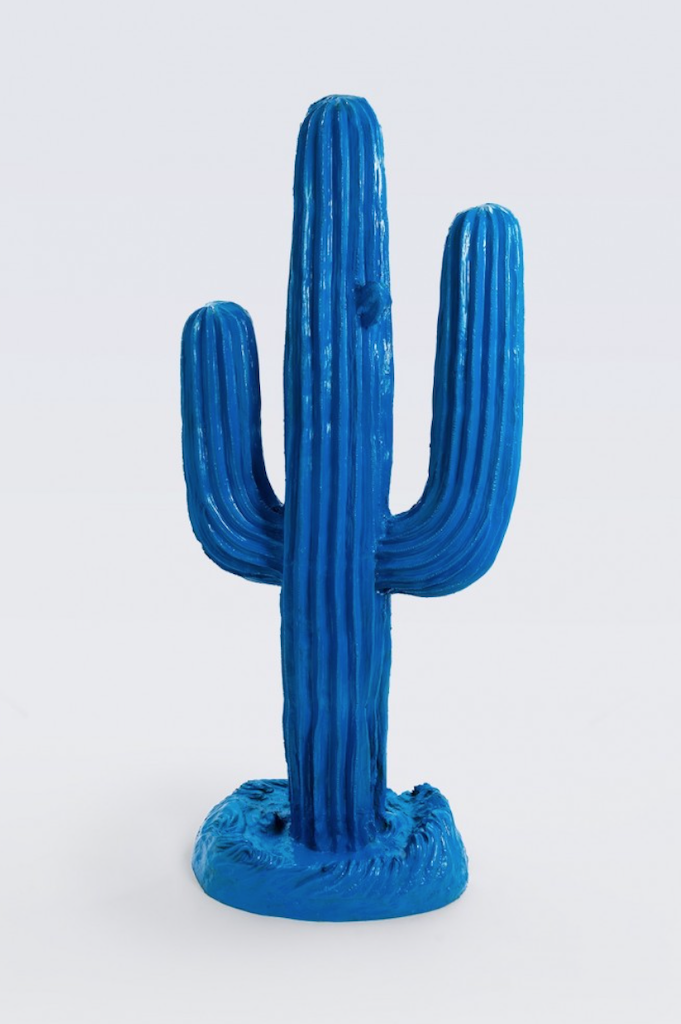 Kaktus Prärie - Pop Art - Designer Hochglanz - 188 cm