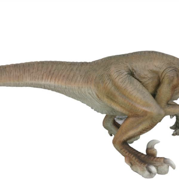 Dinosaurier  Velociraptor 355 cm - Dekofigur natürliche Größe XXXL