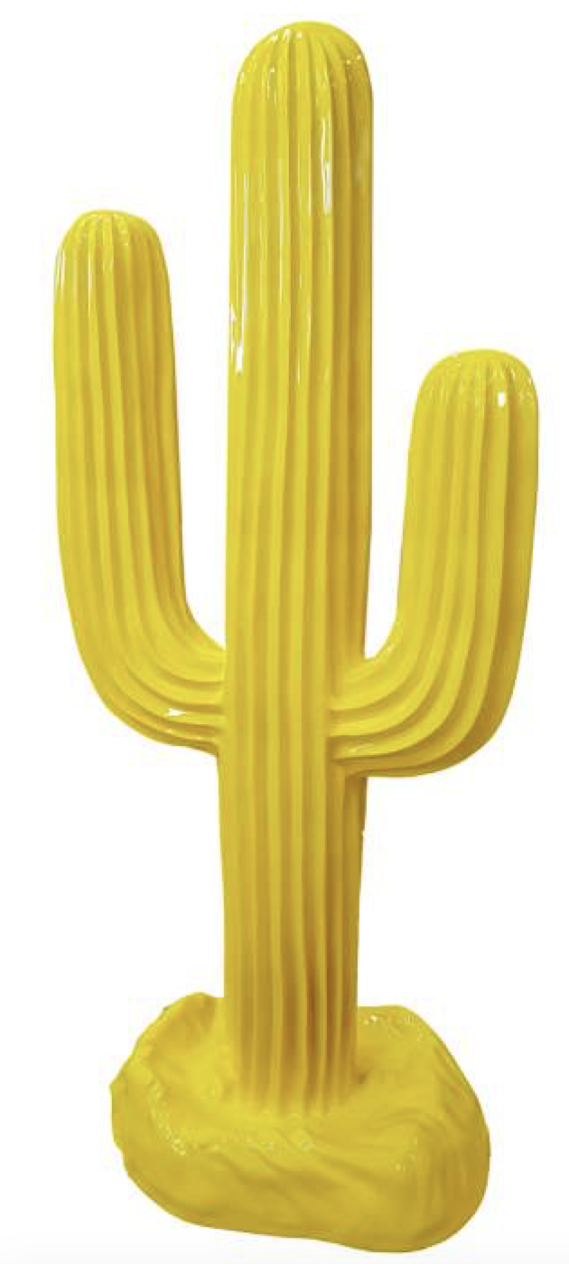 Kaktus Prärie - Pop Art - Designer Hochglanz - 188 cm