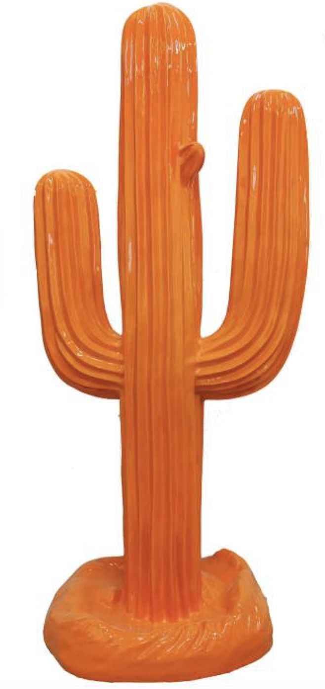 Kaktus Prärie - Pop Art - Designer Hochglanz - 188 cm