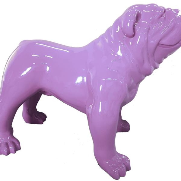 XXXL Englische Bulldogge - Pop Art - Designer Hochglanz