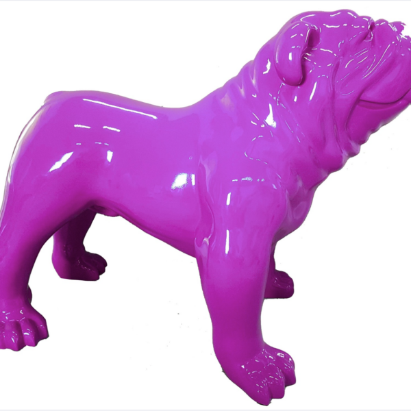 XXXL Englische Bulldogge - Pop Art - Designer Hochglanz