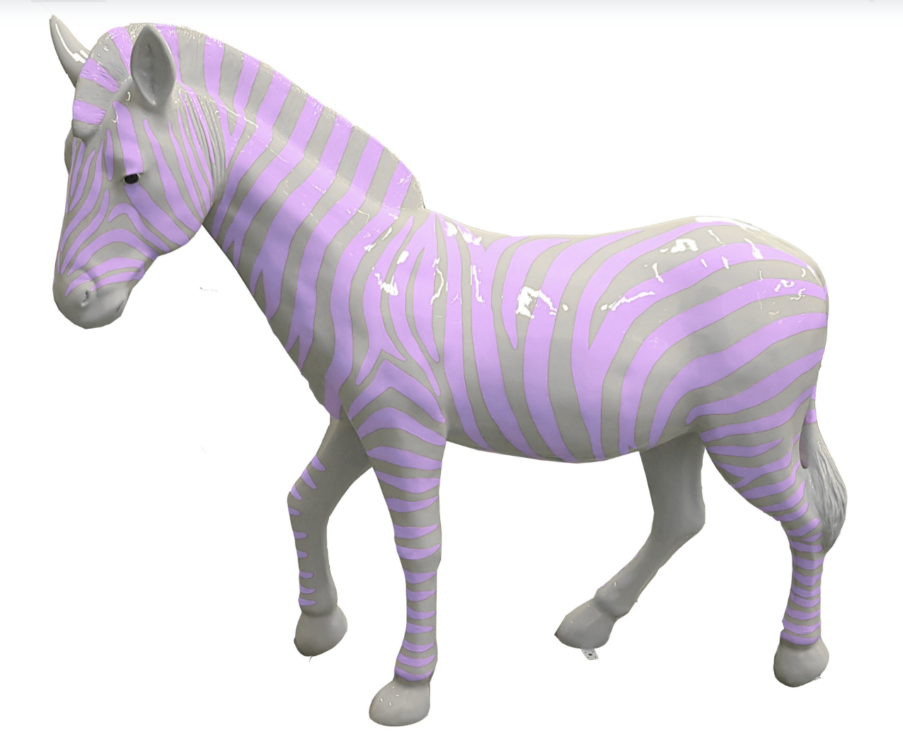 Zebra mit bunte Streifen - Pop Art - Hochglanz XXXL 191 cm