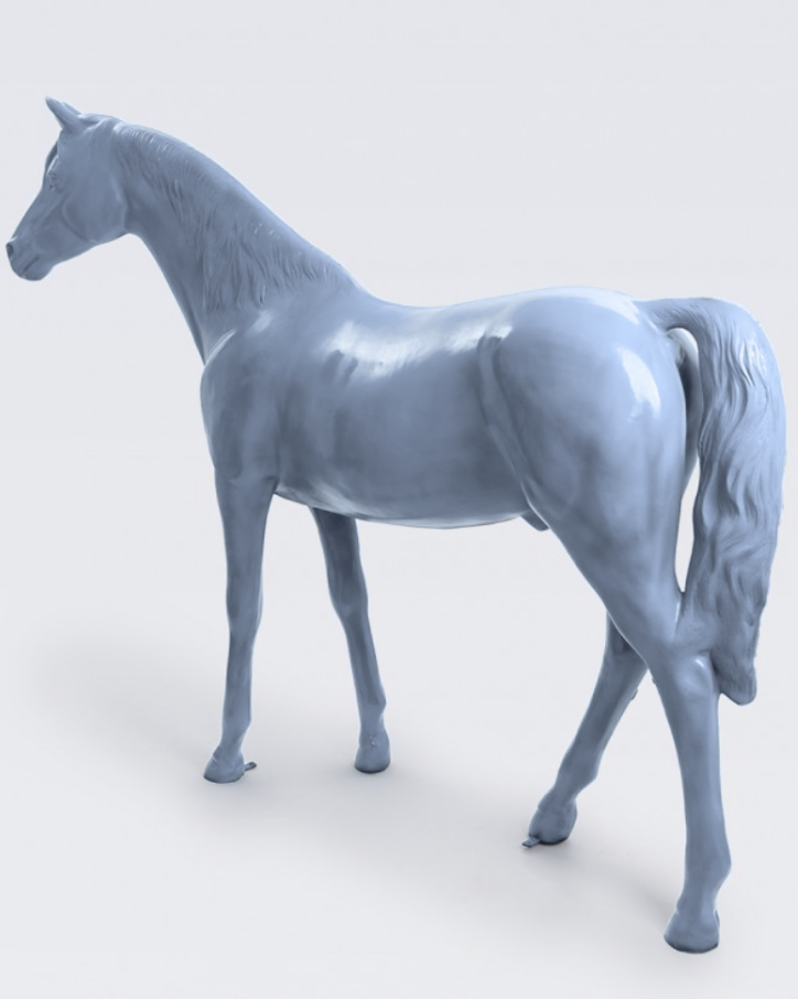 Lebensgroß Pferd - Hochglanz - 220 cm - obrazek 3