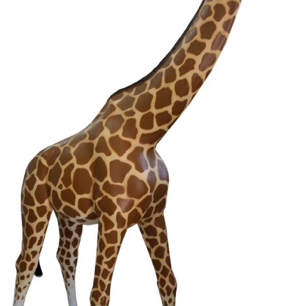 Giraffe   -  232 cm - XL Größe
