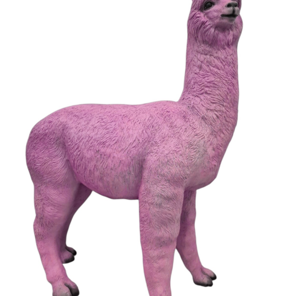 Alpaka -  163 cm - Natürliche Größe