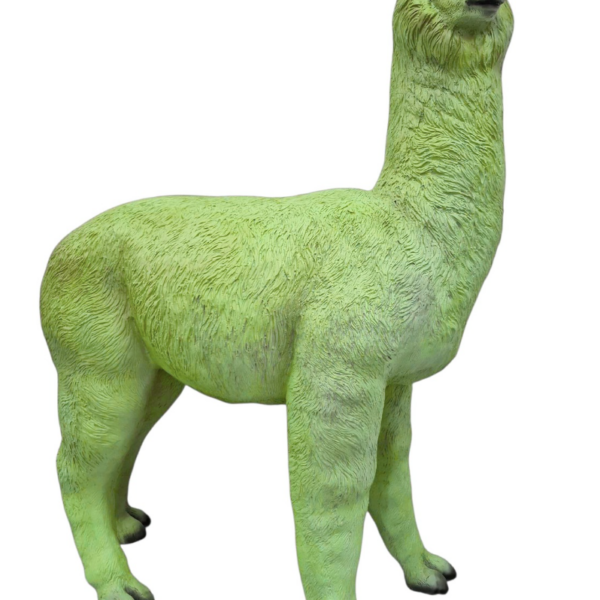 Alpaka -  163 cm - Natürliche Größe