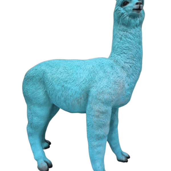 Alpaka -  163 cm - Natürliche Größe